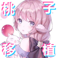 PIXELBUNNY游戏