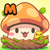 枫之谷m